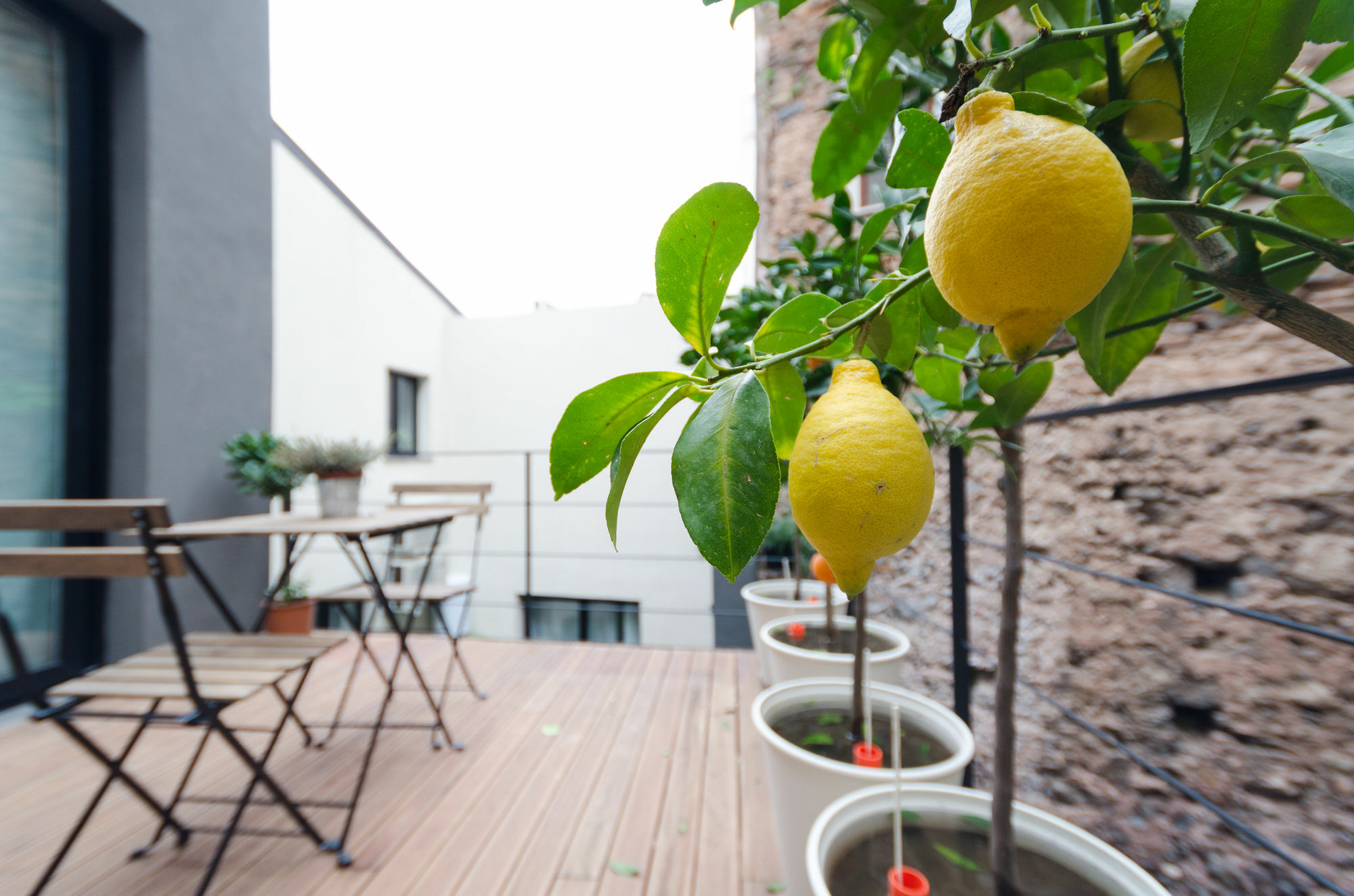 Pietranera Apartments كاتانيا المظهر الخارجي الصورة